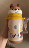 babycare兒童保溫杯嬰兒小松鼠寶寶1-3歲不銹鋼吸管水杯壺學(xué)生上學(xué)450ml 曬單實(shí)拍圖