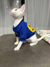 曇蓓漫貓咪寵物衣服冬季小奶貓狗防掉毛加絨保暖衛衣小型幼犬貓秋冬服飾 寵物加絨笑臉衛衣、藍色 S （建議體重2-4斤） 曬單實(shí)拍圖