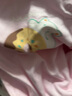 巴拉巴拉嬰兒連體衣寶寶新生兒衣服爬服哈衣2025撞色時(shí)尚可愛(ài)209325120202 曬單實(shí)拍圖