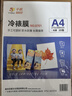 千帆（SAILS）冷裱膜a4高光單面 樹(shù)葉標本標簽干花封塑膜 照片冷表膜大頭貼手工貼膜DIY制作8701 曬單實(shí)拍圖