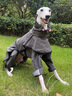 ISPET大型犬狗狗雨衣全包四腳可拆分式雨披耐用舒適防水brotherdog系列 卡其色 XS 曬單實拍圖