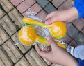 凱史沙錘樂(lè)器小學(xué)生用幼兒園寶寶木質(zhì)早教音樂(lè)打擊玩具沙球兒童安撫鈴 黃色大號(hào) 塑沙錘15cm兩裝 曬單實(shí)拍圖
