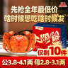 【活蟹】蟹爽爽六月黃大閘蟹鮮活特大螃蟹童子蟹香辣蟹海鮮禮盒 【公蟹】六月黃3.0-3.3兩10只禮盒 精挑豪華鮮活大閘蟹禮盒 曬單實(shí)拍圖