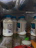 青海湖藏酸奶450g*4瓶原味低温风味发酵乳含1千亿青藏高原鲜活菌 450g*4瓶 实拍图