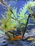 西游水族魚(yú)缸造景全套熱彎玻璃缸客廳小型桌面免換水生態(tài)草缸迷你金魚(yú)缸 長(cháng)35*寬20*高22-叢林款造景全套 曬單實(shí)拍圖