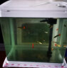 技研精工（JIYJNJINGGONG）鱼缸客厅小型家用带增氧桌面超白玻璃过滤免换水生态懒人鱼缸320 实拍图