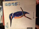 經(jīng)典全集《彩鉛動(dòng)物》手繪入門(mén)臨摹基礎教程書(shū)籍色鉛筆零基礎初學(xué)者成人昆蟲(chóng)鳥(niǎo)類(lèi)貓咪狗狗魚(yú)技法寶典一本就夠 曬單實(shí)拍圖