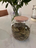 九土 手工玻璃茶葉罐木蓋功夫茶倉存茶罐簡約日式茶葉罐儲物收納罐 清透版 曬單實拍圖