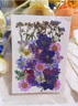 墨里萊干花diy 壓花DIY押花材料包寫真花瓣書簽真花滴膠植物標本 洛麗塔花園（37片） 曬單實拍圖