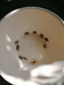 墨一迷你蟹辣椒蟹可與燈科魚(yú)孔雀魚(yú)蝦混養(yǎng)吃渦蟲(chóng)除藻活體觀賞水生寵物 辣椒蟹10公10母+5只備損】 曬單實(shí)拍圖