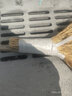 大號觀(guān)音掃把/鐵掃把掃帚金絲草廠(chǎng)里專(zhuān) 用環(huán)衛所專(zhuān)用庭院戶(hù)外大號 金絲草掃把 1把 曬單實(shí)拍圖