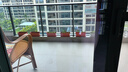 大禹辣椒苗秧苗帶土活苗一年四季盆栽種苗樹(shù)苗彩椒苗子秋季蔬菜苗批發(fā) 赤焰單生朝天椒苗 6棵帶土秧苗 曬單實(shí)拍圖