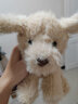 Apricot Lamb瑞可羊金毛小狗毛絨玩具可愛(ài)兒童生日禮物寶寶狗狗玩偶公仔 溫順金毛小狗 20cm 曬單實(shí)拍圖