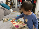 丹妮奇特蒙氏早教手抓板拼圖積木嬰兒童4生日禮物7玩具男女孩1—2歲3寶寶6 小雞平衡木 曬單實(shí)拍圖