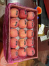 靈寶蘋果 LINGBAO APPLE靈寶正宗寺河山紅富士蘋果禮盒裝新鮮天然富硒脆甜爽口(無標) 95mm-100mm（12個裝） 曬單實拍圖