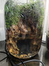 青苔苔蘚植物微景觀生態(tài)瓶養(yǎng)魚室內(nèi)桌面盆栽耐養(yǎng)流水成品套餐禮物 高山流水有流水 曬單實拍圖