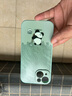 格希適用蘋(píng)果15promax手機殼iphone15新款撞色拼接鏡頭全包防摔保護套plus液態(tài)硅膠高檔簡(jiǎn)約創(chuàng  )意潮超火 淡青色-刷墻熊貓綠+配全屏膜 蘋(píng)果15 曬單實(shí)拍圖