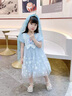 mlgt kids童裝女童愛莎公主裙2025夏季禮服女孩連衣裙兒童網(wǎng)紗裙子 藍色 連衣裙+網(wǎng)紗發(fā)箍 90 cm（建議80-90cm1-2周歲左右） 曬單實拍圖