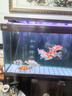 魚(yú)之眼魚(yú)缸氣泡條氧氣條氣石瀑布式氣泡石增氧頭氣簾增氧條自重沉底 120cm砂條和氣泵套餐 曬單實(shí)拍圖