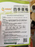 鳳鳴雅世8種矮生陽臺盆栽四季蔬菜種子套餐易成活的菜籽兒童蔬菜種子 曬單實拍圖