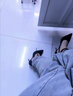 九寸陽(yáng)光法式晚禮服不易累腳黑色高跟鞋女小眾設計感交叉綁帶性感氣質(zhì)單鞋 黑色 6cm （圖為跟高9cm效果） 36 曬單實(shí)拍圖