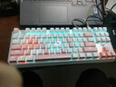 狼蛛（AULA） F3087機械鍵盤(pán)鼠標套裝 87鍵拼色鍵盤(pán) 全鍵無(wú)沖 小型便攜式鍵線(xiàn)分離 游戲電競辦公電腦筆記本外設 粉色-冰藍光 茶軸- 曬單實(shí)拍圖