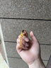 德尼菲洛 DENIFILO輕奢黃水晶手串高品質(zhì)好運(yùn)珠手鏈配蜜蠟沉香木串珠男女款飾品送禮 適合手圍15cm以下 曬單實(shí)拍圖