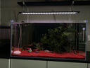 尼特利正壓過(guò)濾桶魚(yú)缸外置過(guò)濾筒大流量水族過(guò)濾器 尼特利2號(hào)變頻桶B套餐【正壓+濾材+前置】 曬單實(shí)拍圖