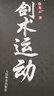 劍術(shù)運動 曬單實拍圖