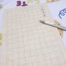 檀燁軒古法楮皮紙日課紙中楷宣紙書(shū)法作品紙毛筆字帶格子信箋練習紙2cm方格 曬單實(shí)拍圖