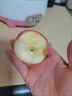 裕農叔【JD速發(fā)】南非冰糖小蘋(píng)果進(jìn)口gala果加力果姬娜牛頓孕婦水果 4枚裝（進(jìn)口優(yōu)果） 商超A+級精品果100-120g 曬單實(shí)拍圖
