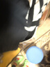 ubras虞書欣同款云棉草本背心裙吊帶睡衣女家居服居家舒適透氣 帶杯背心裙-黑色 XL 曬單實拍圖