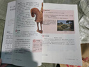 【新華書(shū)店正版】2025新版人教版初中七年級下冊歷史書(shū)人教版部編版 初中初一1下冊7七年級下冊中國歷史書(shū)課本教材 7七下歷史人民教育出版社 七年級下冊歷史 曬單實(shí)拍圖