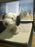 Nakajima Corporation史努比snoopy PEANUTS FUWAKUTA年代復古公仔玩具生日禮物 曬單實(shí)拍圖