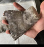 大號鰈魚尾巴炭烤鰈魚冷凍新鮮鴉片魚尾 鰈魚尾 碟魚尾 2000g 含冰 1斤5個左右（大款） 曬單實拍圖