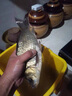 川澤餌料紅蟲(chóng)蝦腥一杯搞定濃腥爆護專(zhuān)攻鯽鯉四季魚(yú)餌野釣黑坑誘魚(yú)快紅蟲(chóng)蝦腥（1杯裝）攜帶更方便 曬單實(shí)拍圖