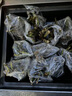 大花天竺葵盆栽重瓣四季垂吊開(kāi)花直立花卉庭院陽(yáng)臺(tái)帶花苞發(fā)貨花苗 3.萬(wàn)玫 不含盆 曬單實(shí)拍圖