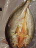 鮮喜利黃魚(yú)鲞新鮮冷凍三去大黃魚(yú)生鮮海魚(yú)開(kāi)背黃花魚(yú)寧德小黃魚(yú)鮮活海鮮 【250g*3條】三去開(kāi)背 免洗免殺 曬單實(shí)拍圖