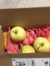 采緹黃元帥蘋(píng)果新鮮應季黃金帥蘋(píng)果粉蘋(píng)果水果黃蕉面黃色蘋(píng)果 黃元帥3斤（凈重2.8-3斤） 70mm（含）-75mm(不含) 曬單實(shí)拍圖
