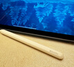 荊智適用蘋果Apple Pencil Pro筆套2/3代透明保護(hù)套透ipad超薄pro殼 透明筆套【此款可透出logo和字】 支持蘋果2代3代pro手寫筆 曬單實拍圖