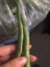 格沃斯【現(xiàn)摘】云南露天四季豆新鮮時(shí)令豆蕓豆新鮮蔬菜 3斤四季豆 曬單實(shí)拍圖