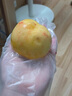 菓靈稥肥城肥桃佛桃 泰安特產(chǎn)脆甜桃新鮮水果山東大桃子水蜜桃中秋節 6顆單果9兩左右實(shí)惠裝 順豐直達 送禮佳品 曬單實(shí)拍圖
