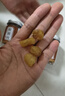 桂圓干新貨漳州無(wú)核龍眼泡水桂元肉干不特級大桂園 桂圓肉【5罐】共500克 優(yōu)質(zhì)無(wú)硫 曬單實(shí)拍圖