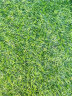 夺秀 仿真草坪地毯塑料假草皮 人造草坪阳台户外人工草坪幼儿园假草坪 20mm标准款耐用春草/平方 每平方尺寸（2米*0.5米） 实拍图