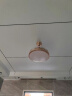 欧普led照明变频静音风扇灯隐形吊扇灯客厅灯餐厅蓝牙音箱电扇灯 金 48寸+三色+变频遥控 晒单实拍图