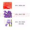 COCOSILIYA香水女士邂逅粉色柔情淡香持小久樣留香情人節72生日禮物小時(shí)女 邂逅香水1瓶 邂逅柔情 曬單實(shí)拍圖