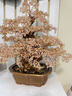 菲斯鉑亞天然水晶發(fā)財(cái)樹(shù)擺件客戶店鋪開(kāi)業(yè)禮品前臺(tái)辦公室擺件家居玄關(guān)客廳 天然黃水晶高28寬39 厚度15cm 曬單實(shí)拍圖