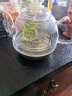金灶（KAMJOVE） 全智能系列玻璃煮水壶玻璃消毒锅原装配件【非整套产品】 G6/7/8/9煮水壶（不含盖） 实拍图