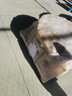 紅菱商用電烤箱大型商用大容量蛋撻西點蛋糕面包店電烤爐烘培焗爐 【2層4盤電智能版】XYF-2HP-NM 曬單實拍圖