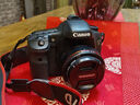 佳能Canon 7D 7D2 7D Mark II二手單反相機 中端半畫(huà)幅數碼相機 7D+永諾50mmF1.8二代小痰盂套機 9新 曬單實(shí)拍圖